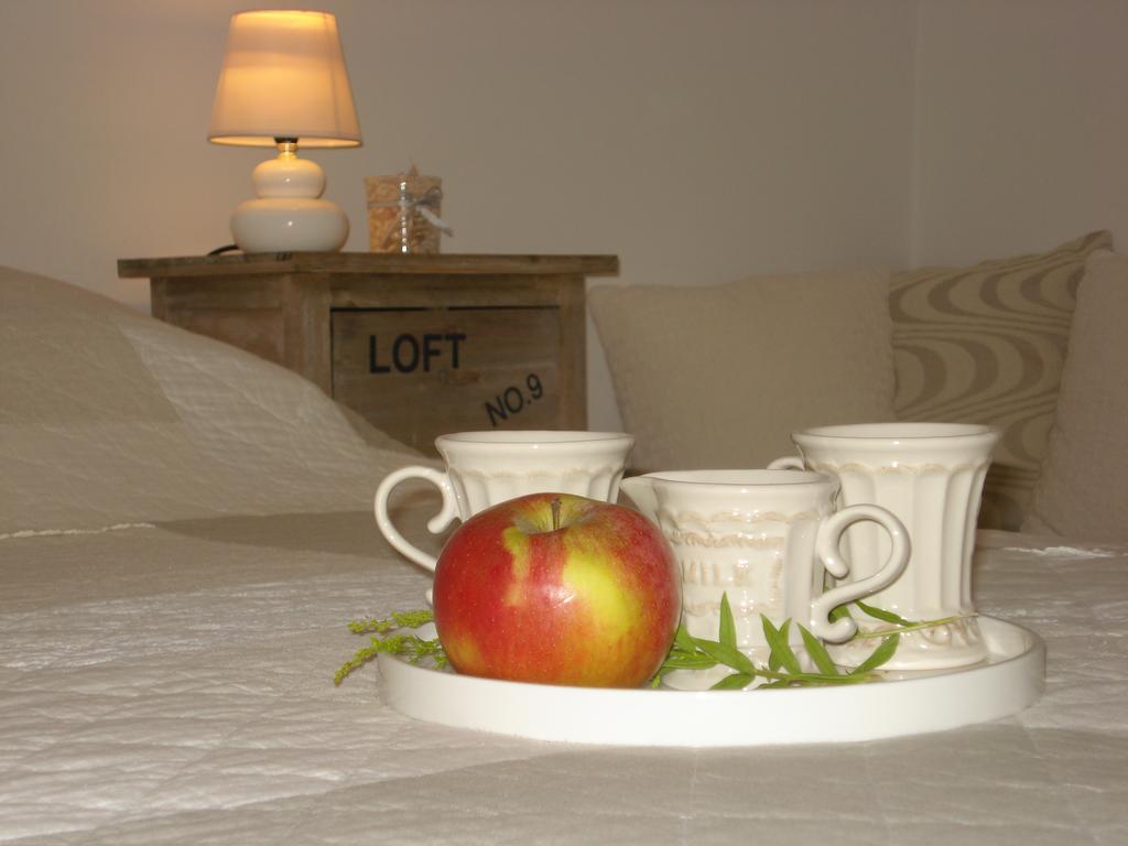 Studio Apartment Md Roč Zewnętrze zdjęcie
